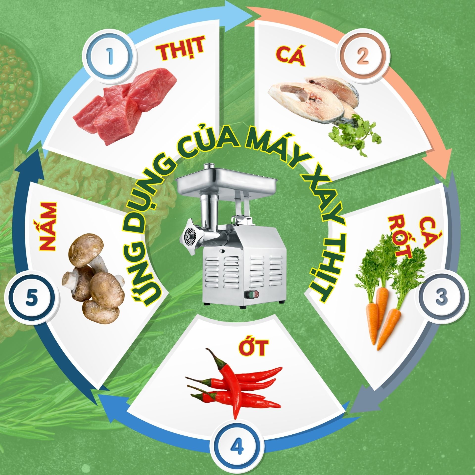 rossy.vn