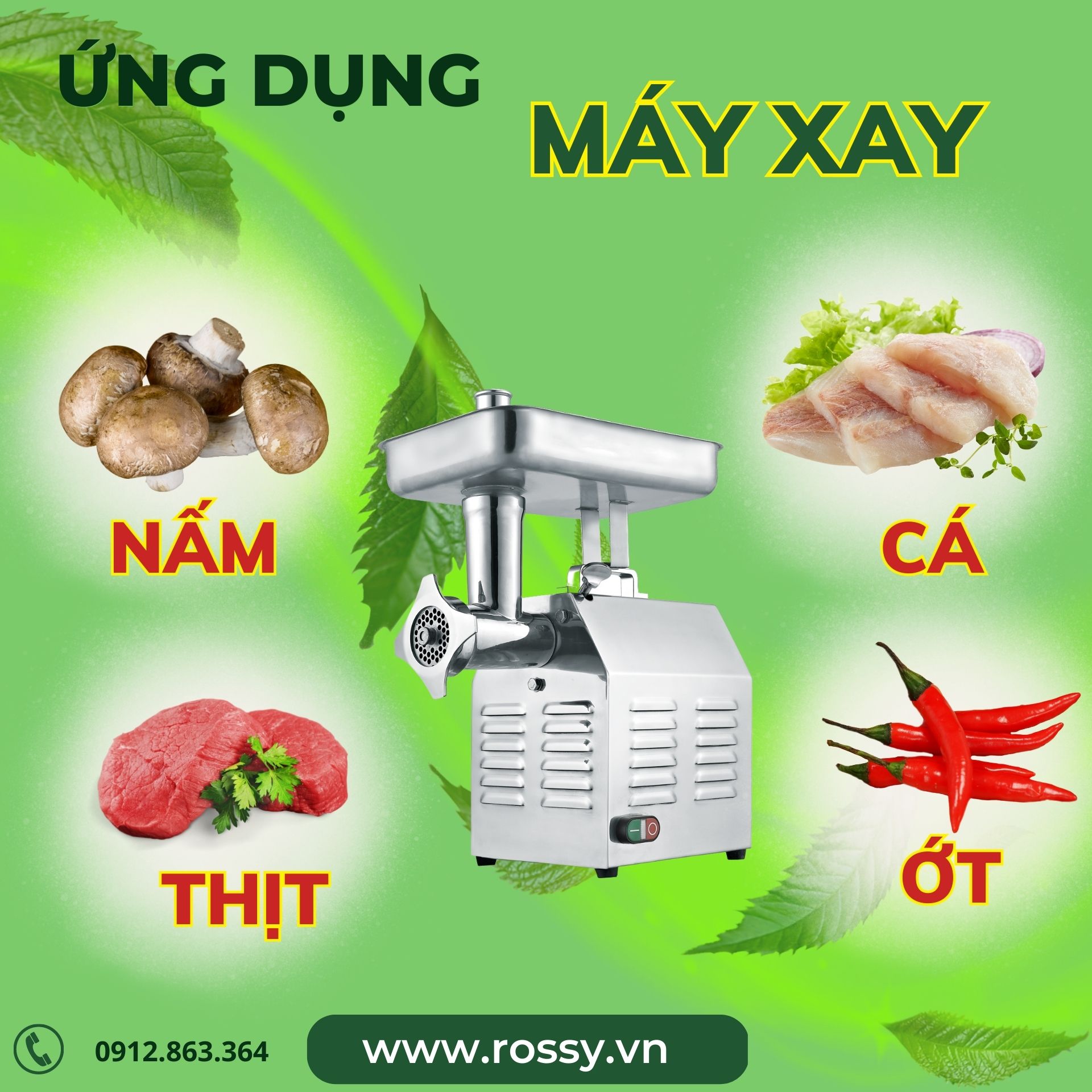rossy.vn
