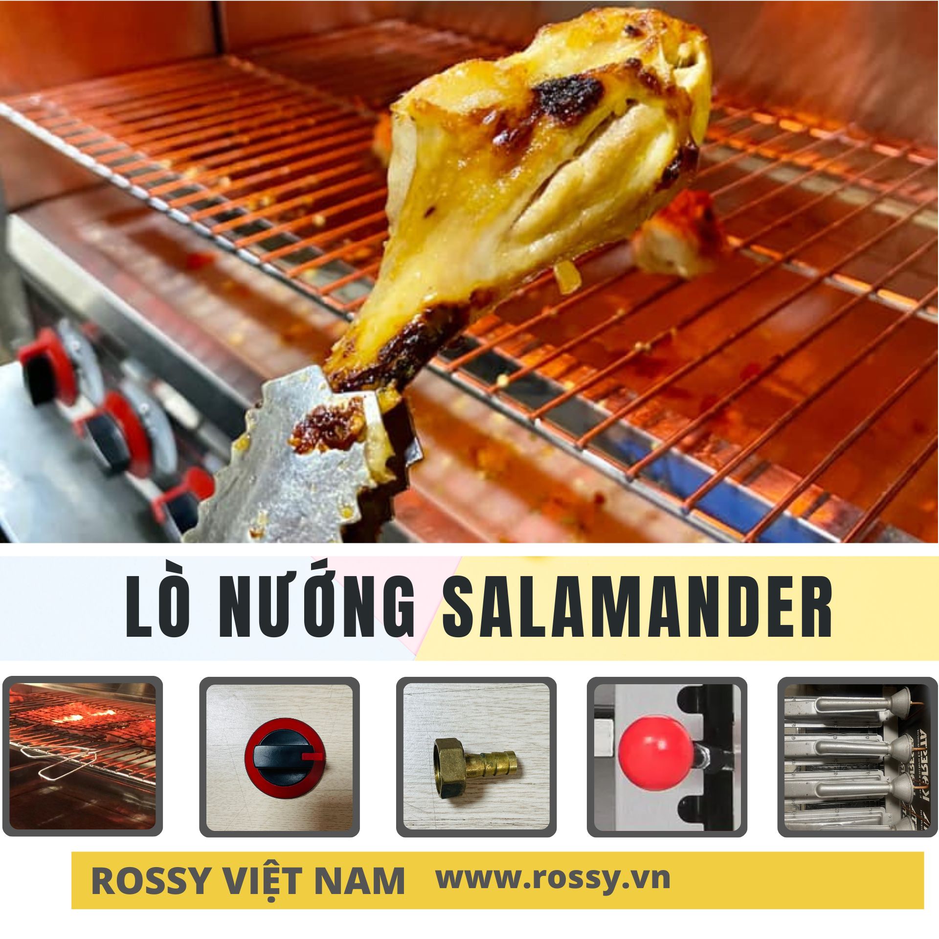 rossy.vn