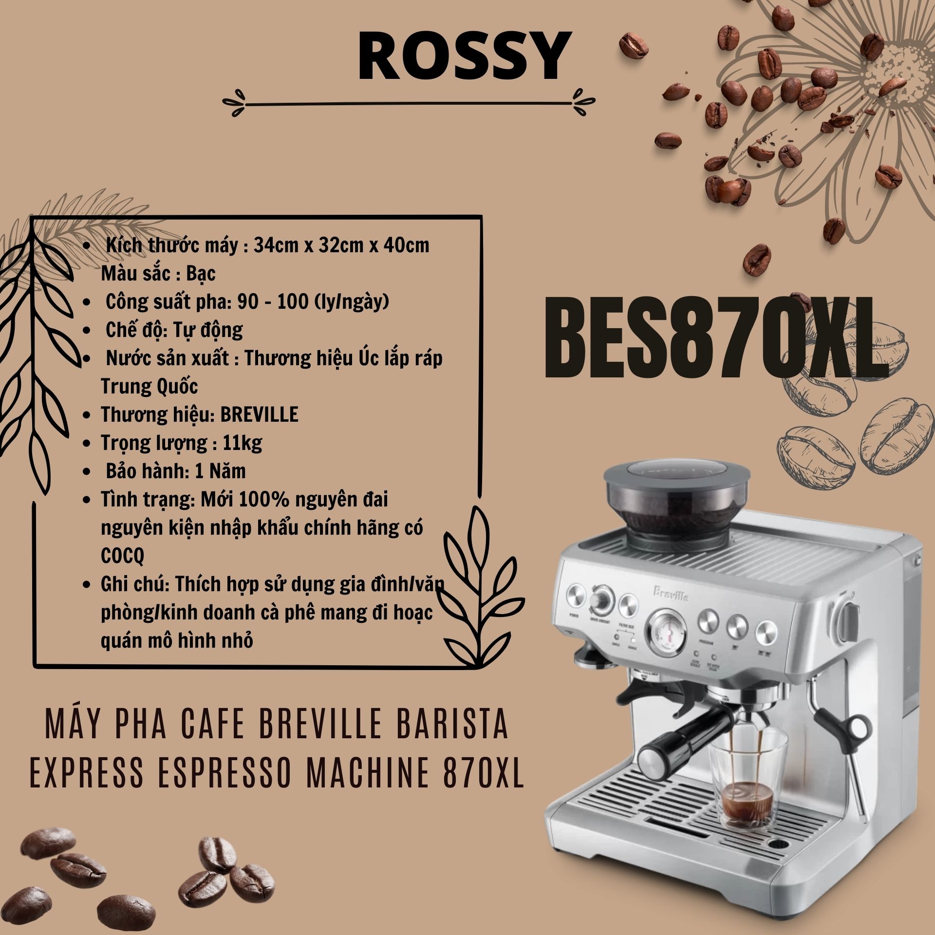 rossy.vn